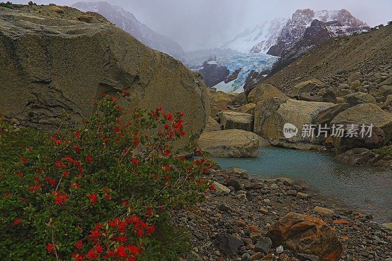 冰川和红色的野花与白雪皑皑的山脉——El Calafate，巴塔哥尼亚